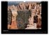 United States National Parks... - Bild 14