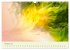 Lichtzauber (Wandkalender 2026 DIN A3... - Bild 8