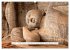 Asien - Sri Lanka (hochwertiger Premium... - Bild 8
