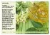Leckere Aufstriche - Ein Kalender mit... - Bild 11