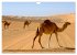 Oman - Eine Bilder-Reise (Wandkalender... - Bild 10