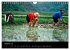 VIETNAM (Wandkalender 2026 DIN A4... - Bild 3