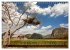 Unesco Welterbe (Wandkalender 2026 DIN... - Bild 9