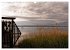 Seestärke - Der Ammersee (Wandkalender... - Bild 3
