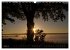 Seestärke - Der Ammersee (Wandkalender... - Bild 7