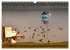 Seestärke - Der Ammersee (Wandkalender... - Bild 8