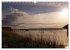 Seestärke - Der Ammersee (Wandkalender... - Bild 9