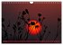 Die Sonne - 2026 (Wandkalender 2026 DIN... - Bild 12