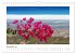Fuerteventura (Wandkalender 2026 DIN A4... - Bild 3