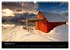Norwegen (Wandkalender 2026 DIN A3... - Bild 5