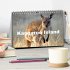Kangaroo Island (Tischkalender 2026 DIN... - Bild 2