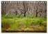 Kangaroo Island (Tischkalender 2026 DIN... - Bild 10