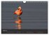 Pretty Flamingo (Wandkalender 2026 DIN... - Bild 11