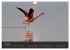 Pretty Flamingo (Wandkalender 2026 DIN... - Bild 13