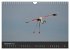 Pretty Flamingo (Wandkalender 2026 DIN... - Bild 4