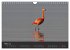 Pretty Flamingo (Wandkalender 2026 DIN... - Bild 9