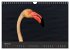 Pretty Flamingo (Wandkalender 2026 DIN... - Bild 10