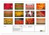 Tulpen (Wandkalender 2026 DIN A2 quer),... - Bild 6