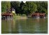 Seestärke - Der Ammersee (Wandkalender... - Bild 4