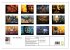 All U Buddhas (Wandkalender 2026 DIN A3... - Bild 6