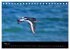 An der Nordsee (Tischkalender 2026 DIN... - Bild 11