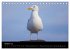 An der Nordsee (Tischkalender 2026 DIN... - Bild 3