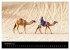 Faszination Dubai (Wandkalender 2026... - Bild 4