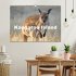 Kangaroo Island (Wandkalender 2026 DIN... - Bild 2