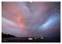 Kangaroo Island (Wandkalender 2026 DIN... - Bild 3
