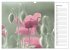 Blumenfreude Terminkalender... - Bild 12
