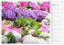 Blumenfreude Terminkalender... - Bild 3