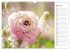 Blumenfreude Terminkalender... - Bild 10