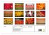Tulpen (hochwertiger Premium... - Bild 5