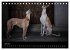 Urban Dogs - Hundekalender der anderen... - Bild 12
