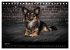 Urban Dogs - Hundekalender der anderen... - Bild 13