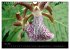 Farbenreiche Orchideen (Wandkalender... - Bild 11