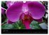 Farbenreiche Orchideen (Wandkalender... - Bild 12