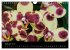 Farbenreiche Orchideen (Wandkalender... - Bild 15