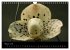 Farbenreiche Orchideen (Wandkalender... - Bild 8