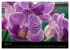 Farbenreiche Orchideen (Wandkalender... - Bild 10
