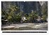 Palawan (Wandkalender 2026 DIN A2... - Bild 15