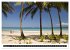Palawan (Wandkalender 2026 DIN A2... - Bild 8