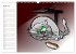 Alles für die Katz! Lustiger... - Bild 10