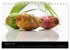 Frische Früchte Kalender... - Bild 5