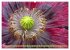 Mohn Tage (hochwertiger Premium... - Bild 2