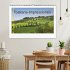 Toskana-Impressionen (Wandkalender 2026... - Bild 2