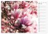 Blumenfreude Terminkalender... - Bild 11