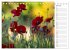 Blumenfreude Terminkalender... - Bild 13