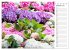 Blumenfreude Terminkalender... - Bild 3