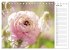 Blumenfreude Terminkalender... - Bild 10